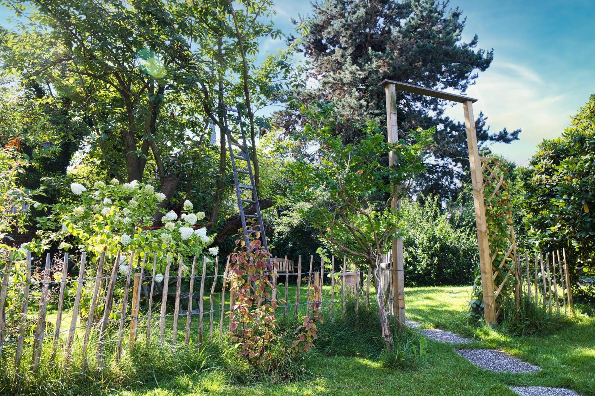 Вілла Gasthaus Benke, Fachwerkhaus In Westfalen Даттельн Екстер'єр фото